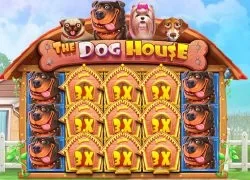 888 Casino casino GB The Dog House
