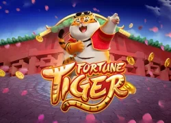 888 Casino casino GB Fortuna Tiger